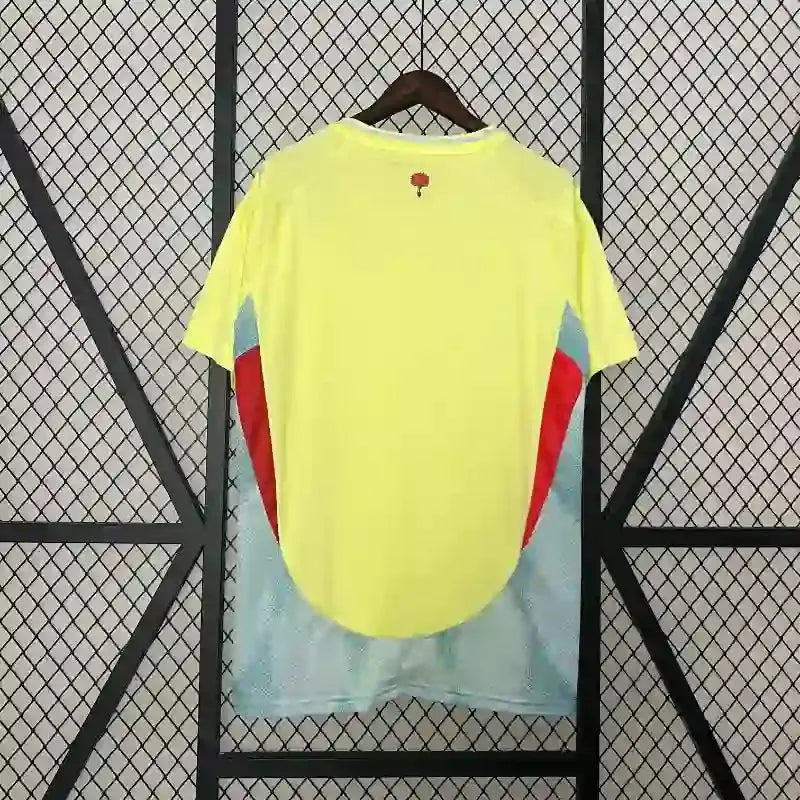 Maillot 24/25 Espagne Away jerseynts