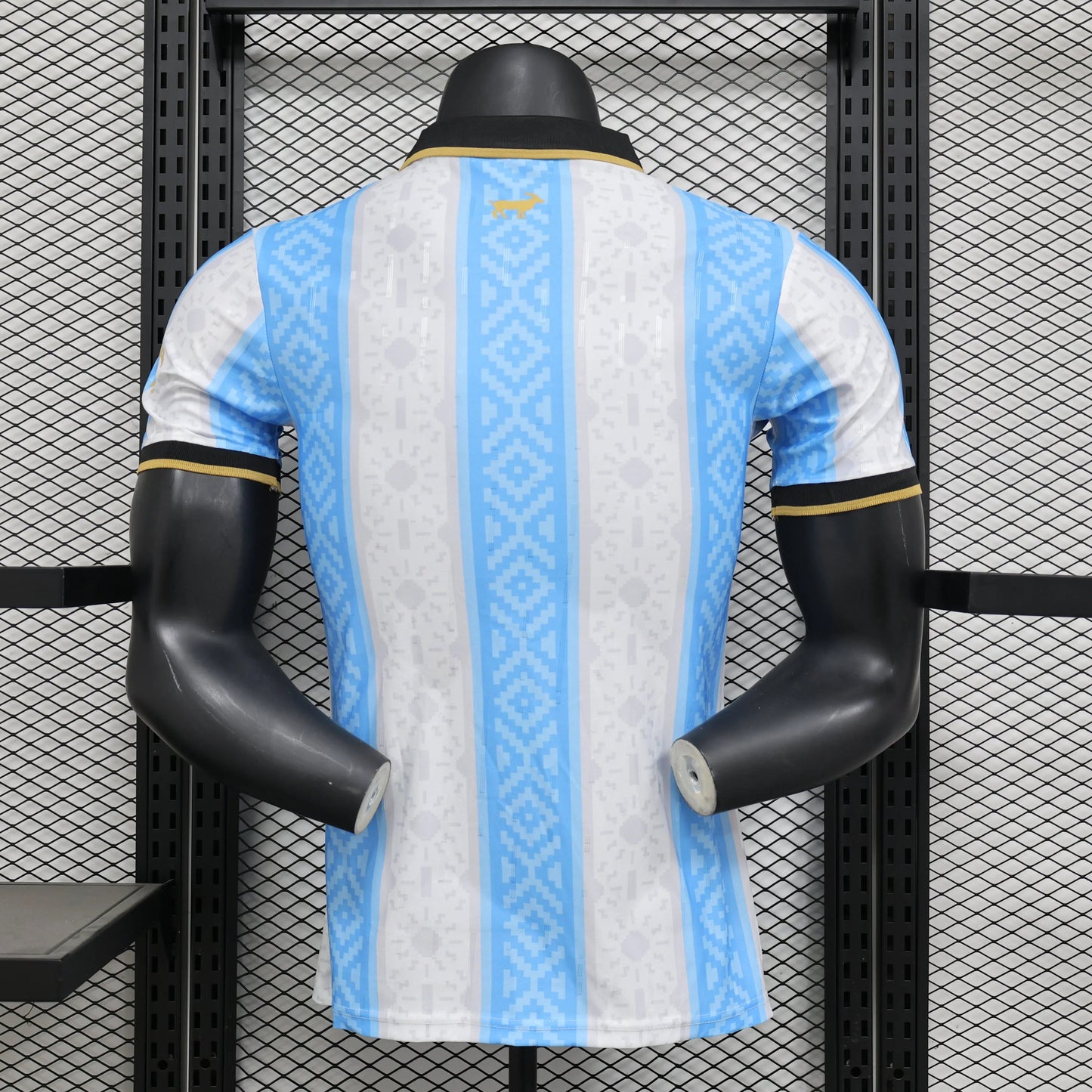 Maillot 24/25 Argentine Spécial jerseynts