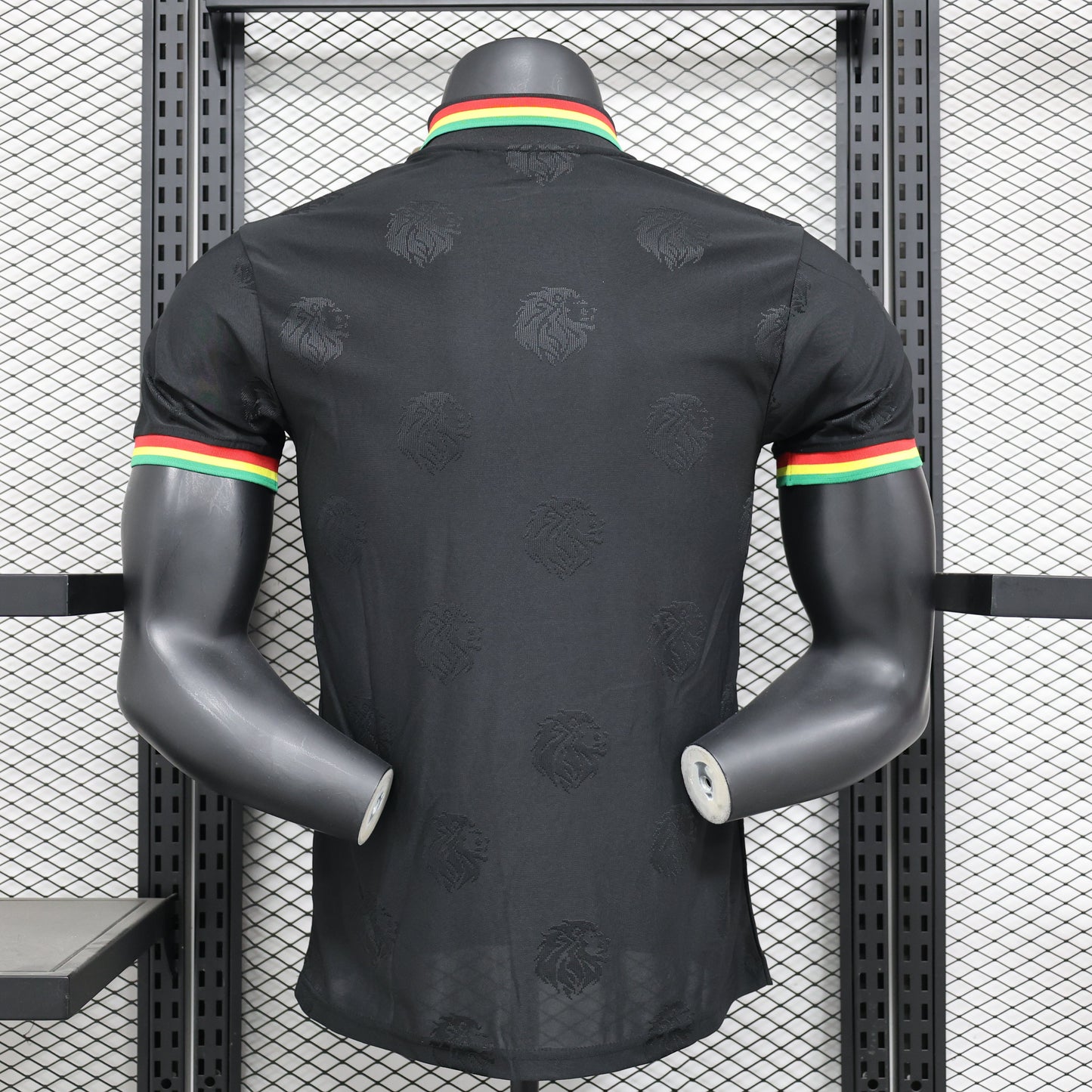 Maillot PLAYER 24/25 Sénégal Spécial