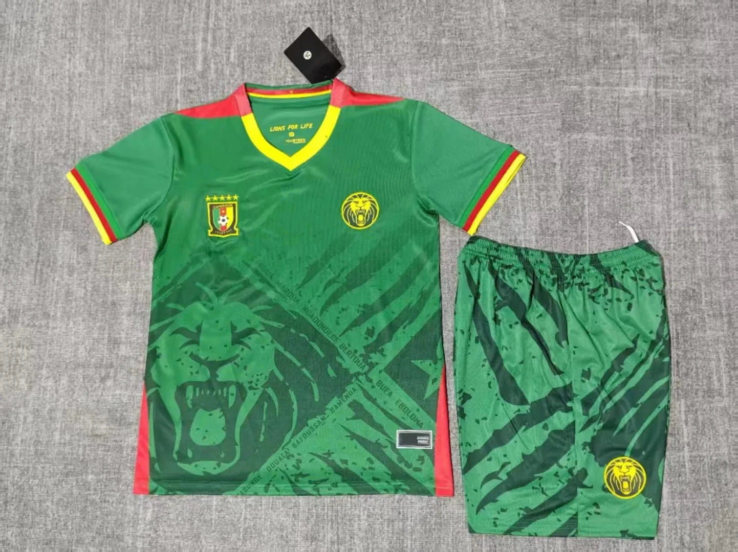 Ensemble Enfant Cameroun vert 2025 2026 jerseynts