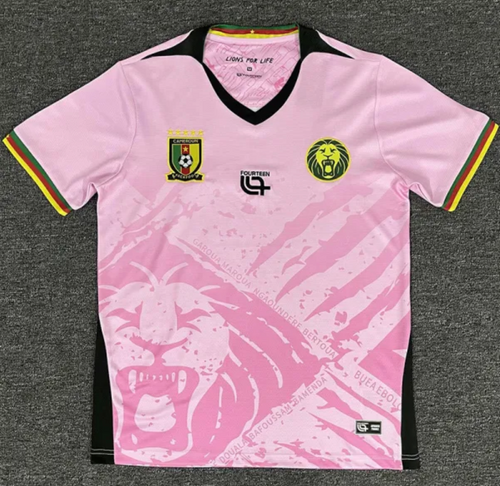 Maillot Cameroun Rose 25/26
