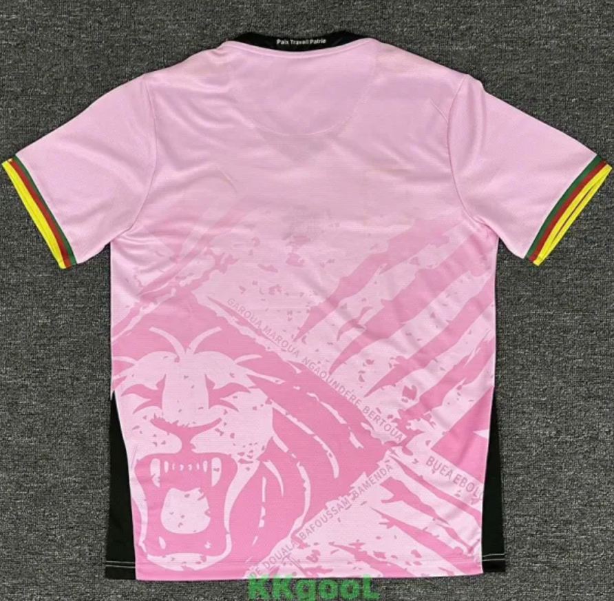 Maillot Cameroun Rose 25/26