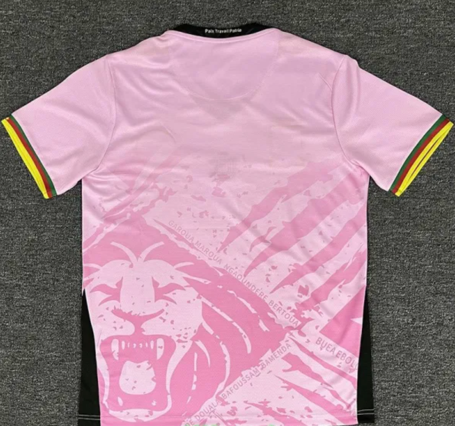Maillot Cameroun Rose 25/26 jerseynts