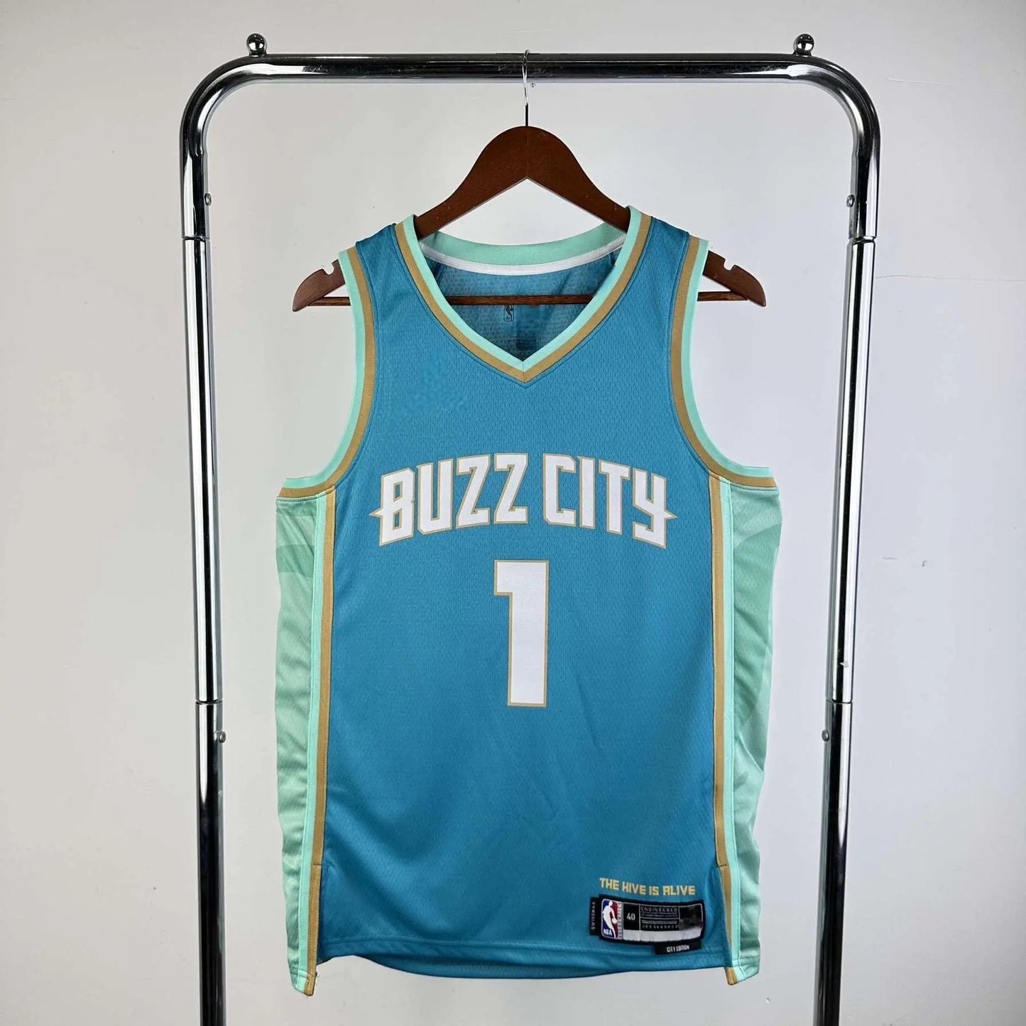 Charlotte Hornets 24 jerseynts