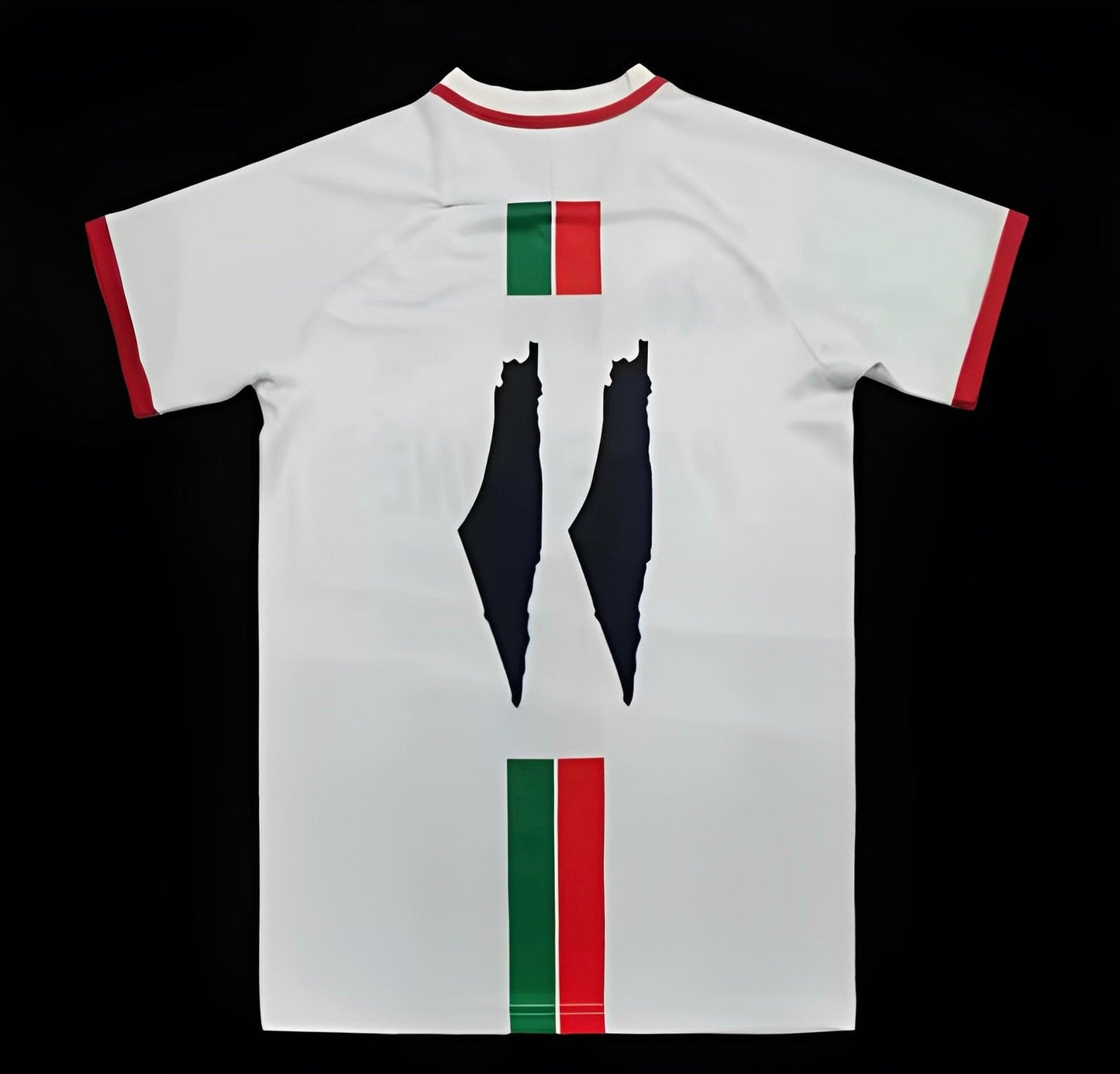 Palestine maillot Édition spéciale Blanc 2023 2024 jerseynts