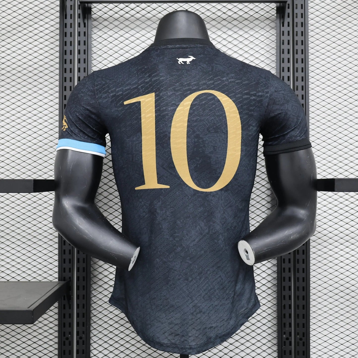 Argentine maillot Édition limitée version Player 2023 2024 jerseynts
