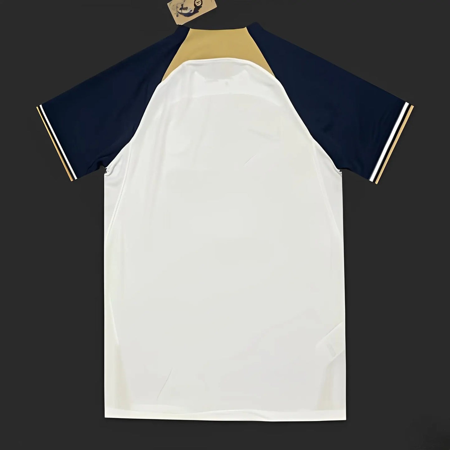 Chelsea maillot entraînement 2023 2024 jerseynts