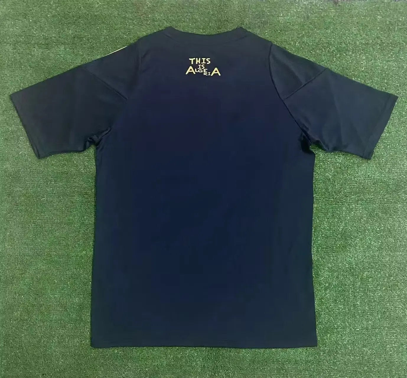 Maillot 24/25 Algérie Spécial jerseynts