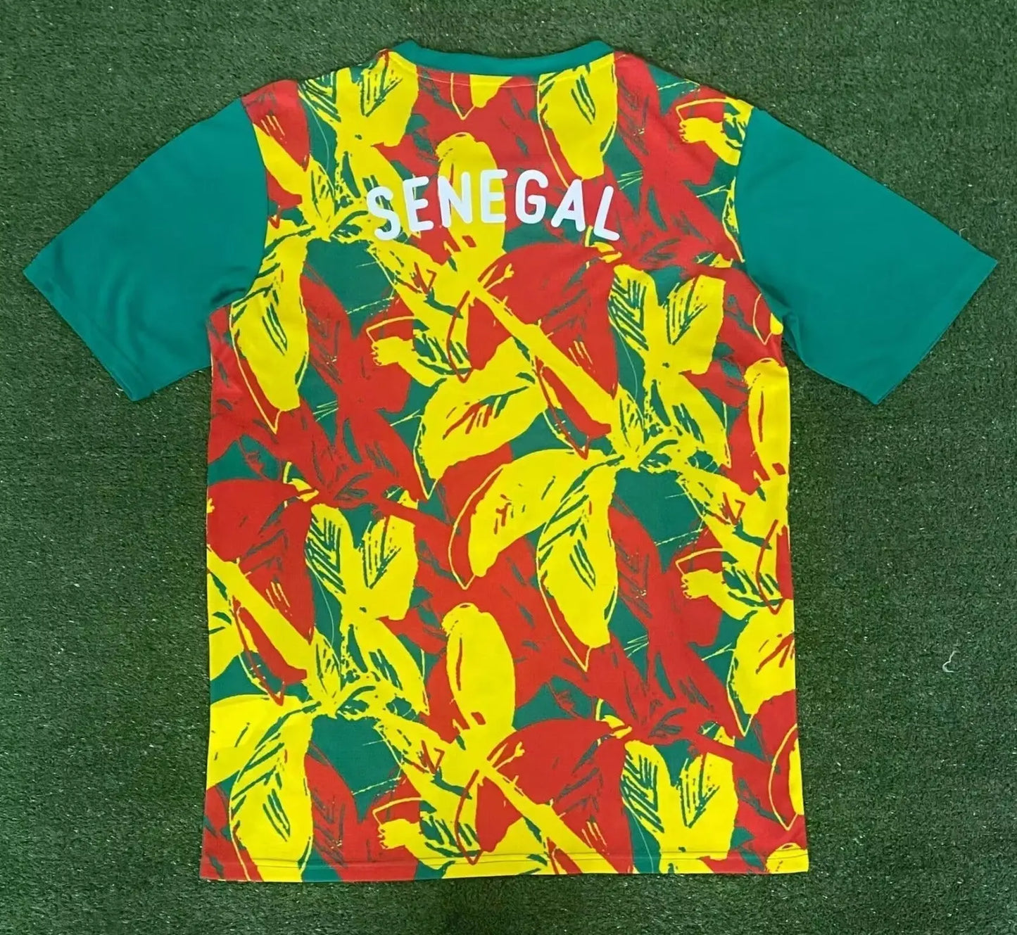 Maillot 24/25 Sénégal Spécial jerseynts
