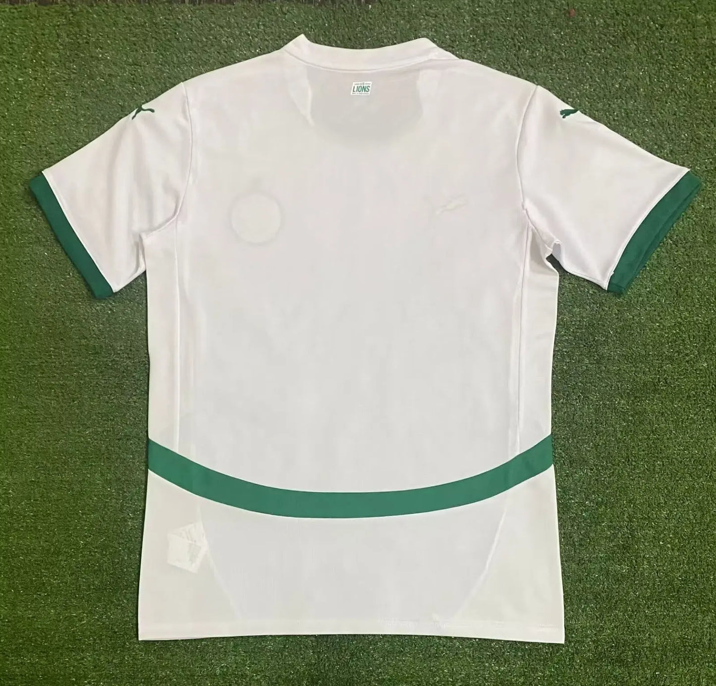 Maillot 24/25 Sénégal Spécial jerseynts