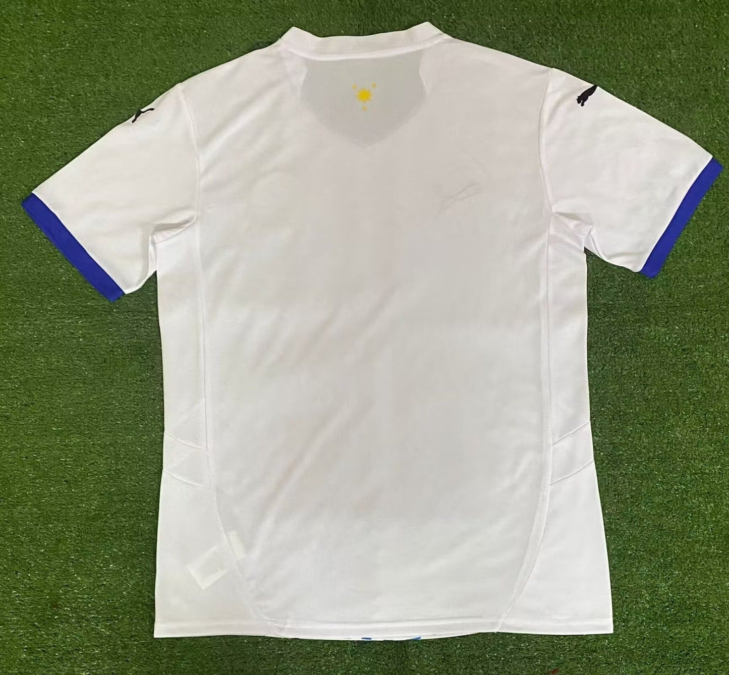 Maillot 24/25 Philippines Spécial