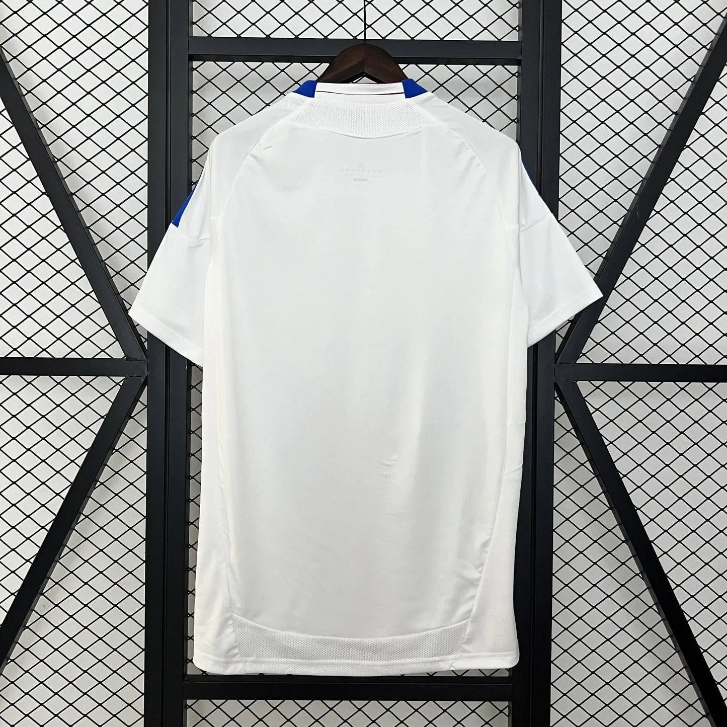 Maillot 24/25 Olympique Lyonnais Spécial jerseynts