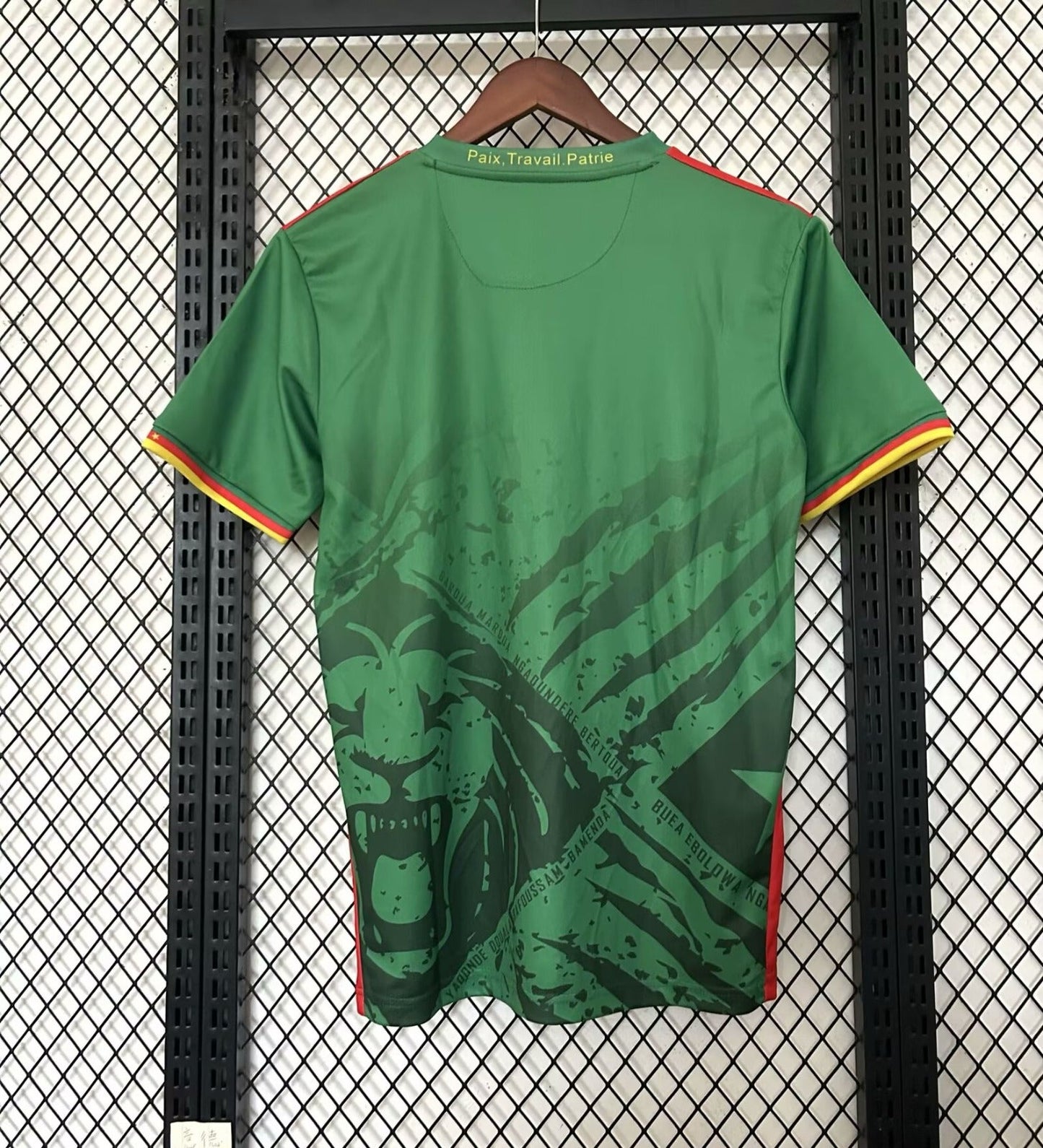 Maillot Cameroun vert 25/26 jerseynts