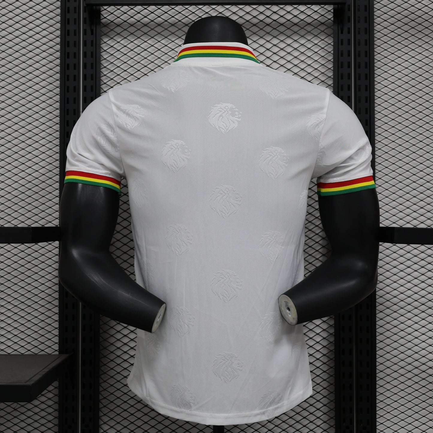 Maillot PLAYER 24/25 Sénégal Spécial Blanc jerseynts