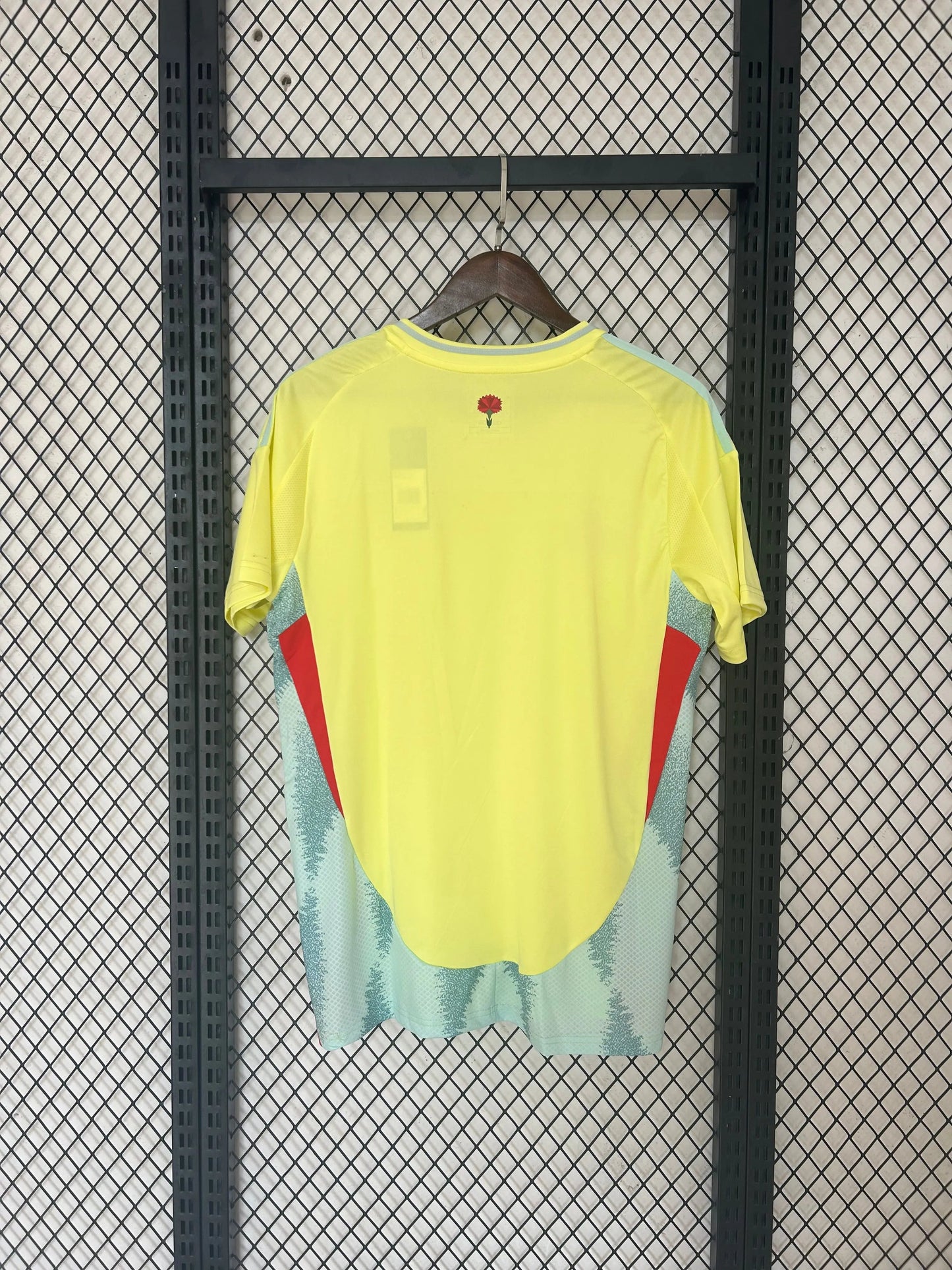 Maillot 24/25 Espagne jerseynts