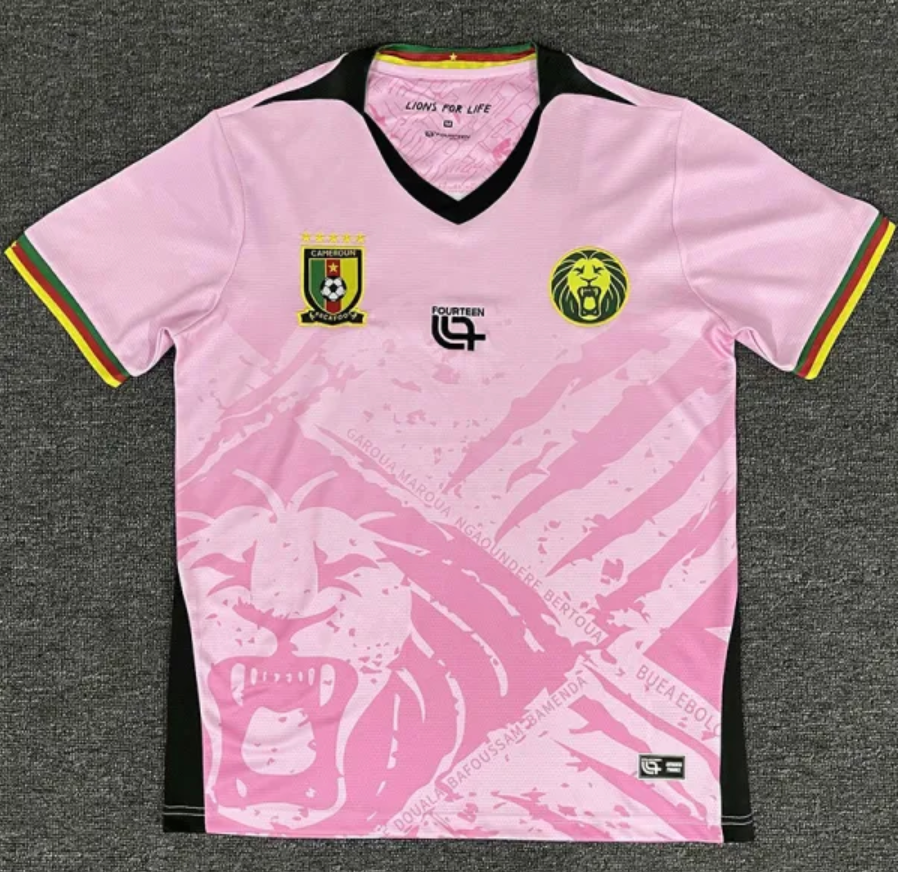 Maillot Cameroun Rose 25/26