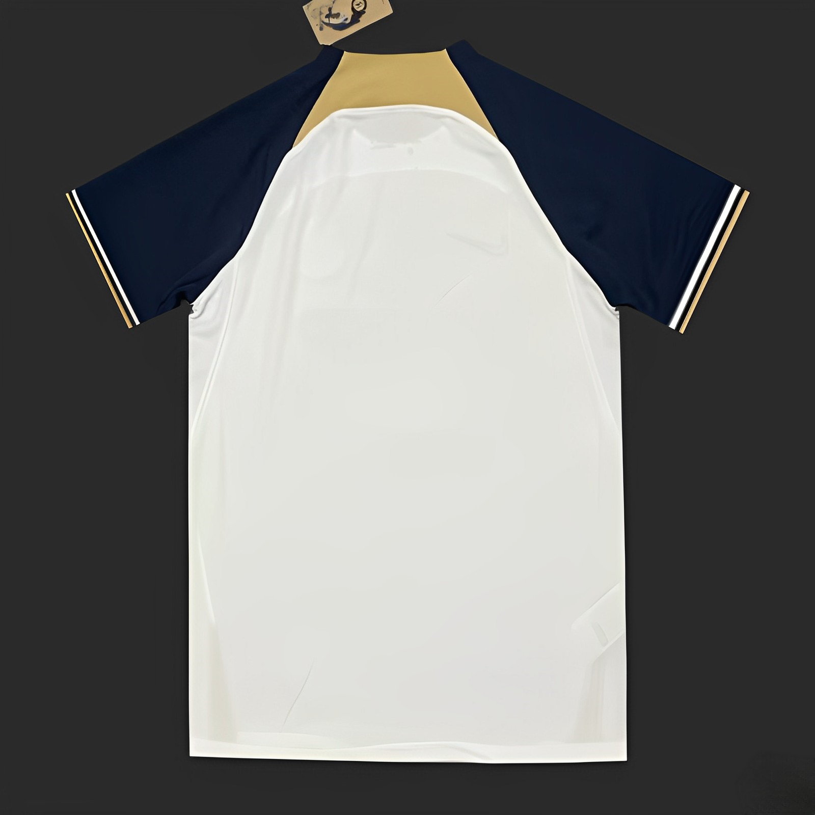 Chelsea maillot entraînement 2023 2024 L'Univers Du Maillot