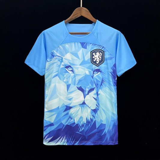 Angleterre maillot Édition spéciale 2023 2024 jerseynts