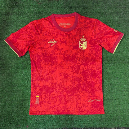 Maillot 24/25 Espagne Spécial